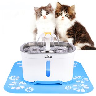 Cordless cat water fountain sale